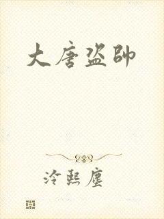 大唐盗帅