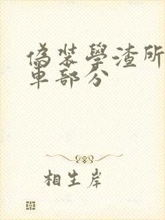 伪装学渣所有开车部分