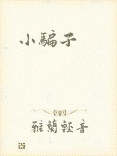 小骗子