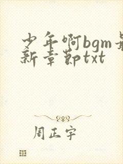 少年啊bgm最新章节txt