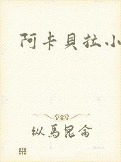 阿卡贝拉小说