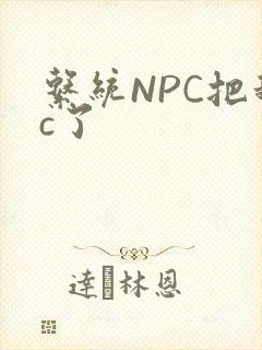 系统NPC把我c了