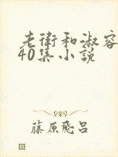 老卫和淑容1-40集小说封面