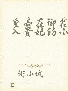 皇帝在御花园进入贵妃的小说