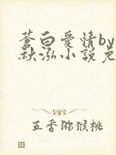 苍白爱情by三秋泓小说免费阅读笔趣阁