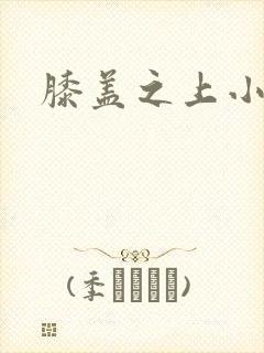 膝盖之上小说