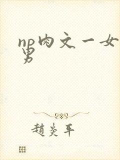 np肉文一女多男