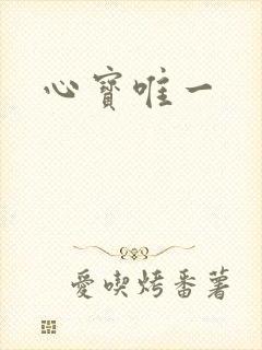 心宝唯一封面