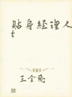贴身经理人txt