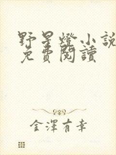 野星灯小说全文免费阅读