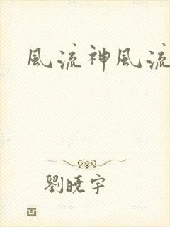 风流神风流记