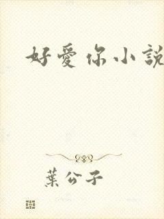 好爱你小说