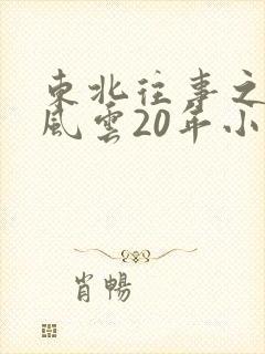 东北往事之黑道风云20年小说