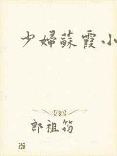 少妇苏霞小说封面