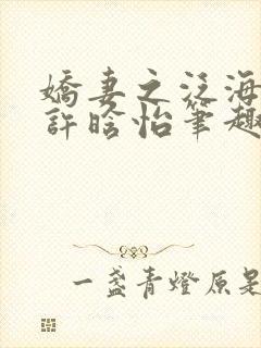娇妻之泛海之舟许晗怡笔趣阁封面