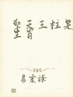 擎天玉柱是什么生肖封面