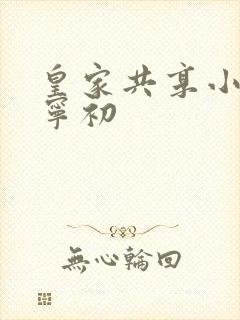皇家共享小公主宁初封面