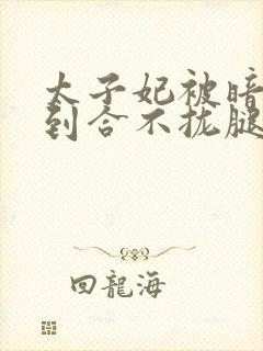 太子妃被暗卫C到合不拢腿封面