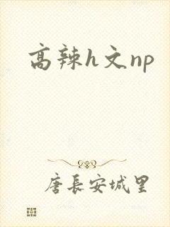 高辣h文np