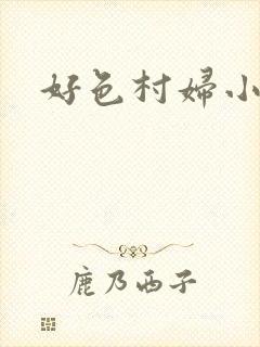 好色村妇小银贼
