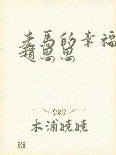 老马的幸福生活赵思思