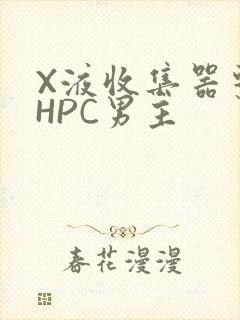 X液收集器系统HPC男主