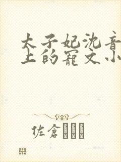 太子妃沈音和皇上的宠文小说封面