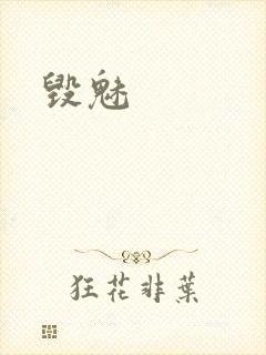 毁魅
