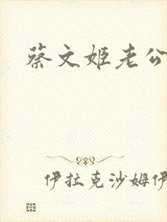 蔡文姬老公封面