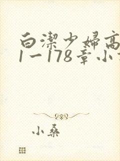 白洁少妇高义第1一178章小说封面
