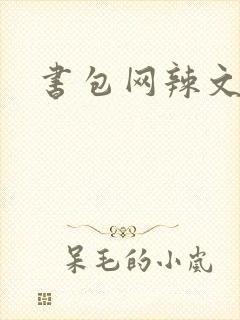 书包网辣文