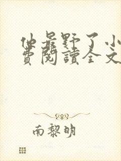他最野了小说免费阅读全文