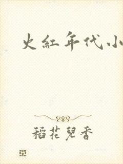 火红年代小说