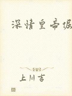 深情皇帝倔皇后