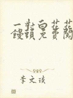 一对白花花的大馒头免费阅读