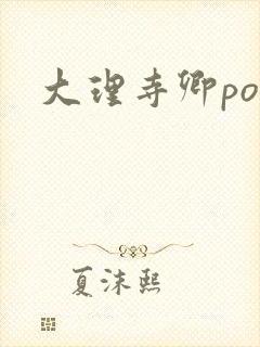 大理寺卿po
