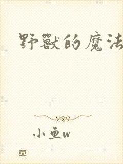 野兽的魔法师封面