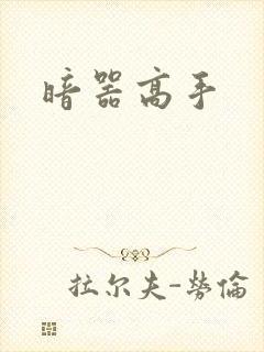 暗器高手