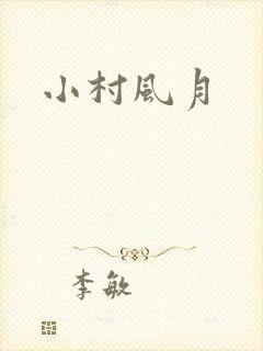 小村风月封面
