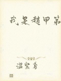 我是赵甲第小说