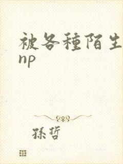 被各种陌生人 np