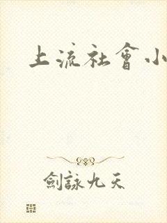 上流社会小说