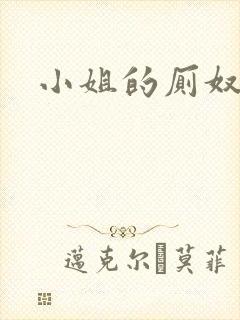 小姐的厕奴