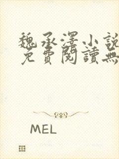 魏承泽小说全文免费阅读无弹窗笔趣