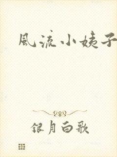 风流小姨子封面
