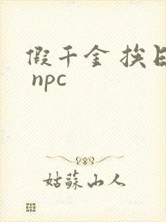 假千金 挨日记 npc