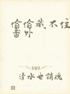 偷偷藏不住新婚番外