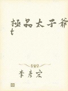 极品太子爷txt封面