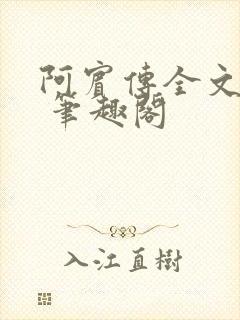 阿宾传全文阅读 笔趣阁