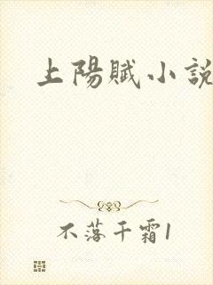 上阳赋小说